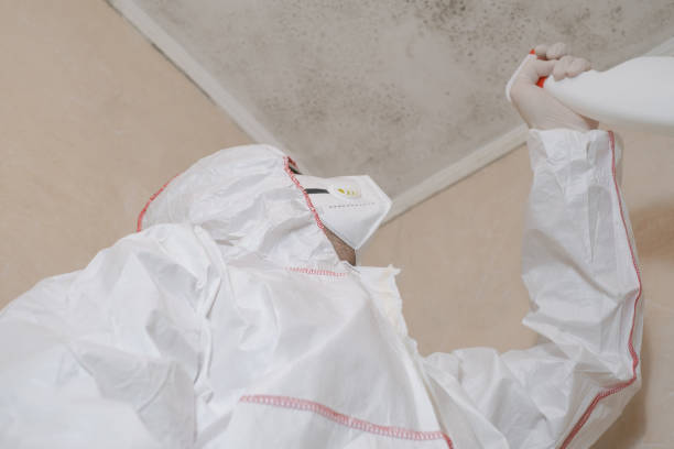 Best Crawl Space Mold Removal  in Lemay, MO