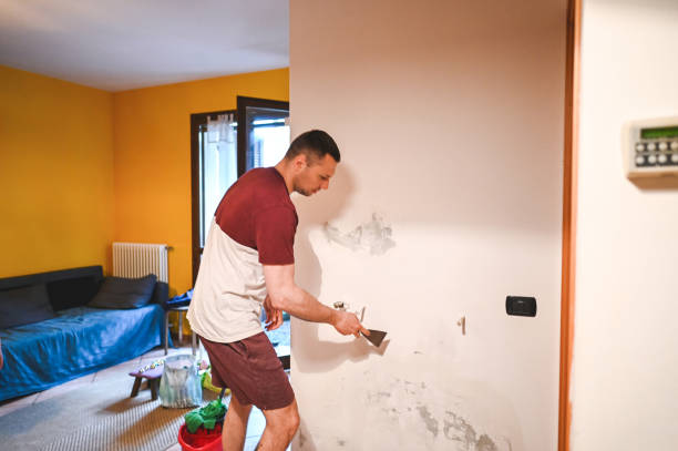 Best Office Mold Removal Services  in Lemay, MO